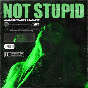 not stupid (feat. Scarlett)