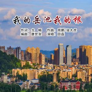 我的岳池我的根