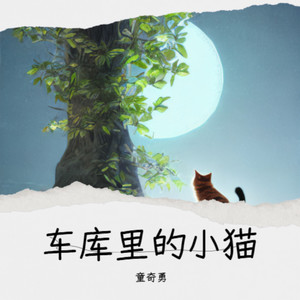 车库里的小猫