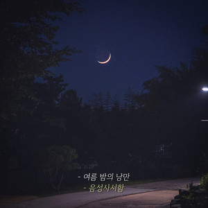 여름밤의 낭만 (Romance of a summer night)