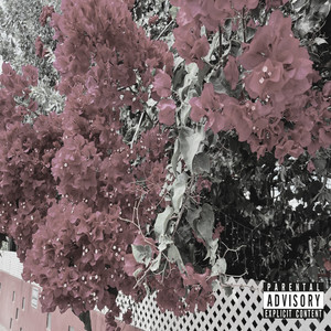 Conflicting Thot$ (Explicit)