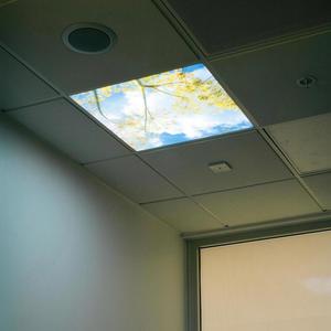 The World You Create In Your Mind