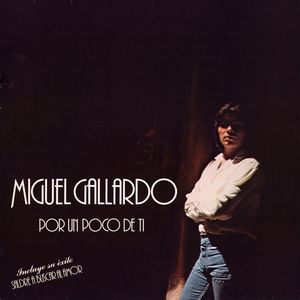Miguel Gallardo - Un loco intento de valor