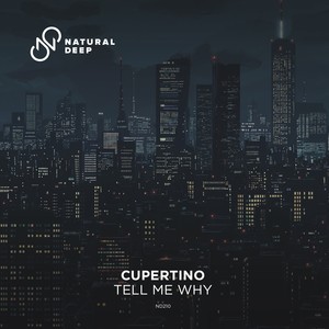 Tell Me Why (Extended Mix)