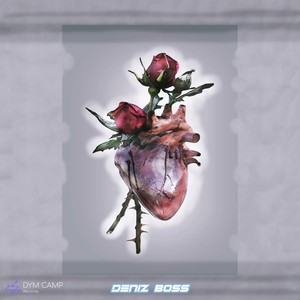 Tamam Sende Haklısın