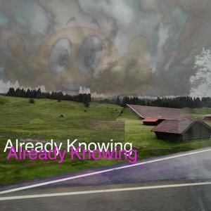 already knowing (feat. PrinC) (Explicit)