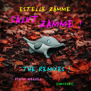 Salut Zamme ! (The Remixes !)