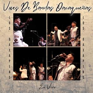 Cancionero (En vivo)