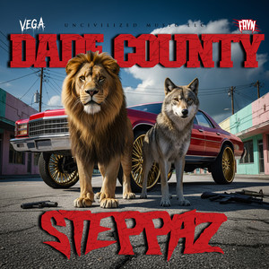 Dade County Steppaz (Radio Edit)