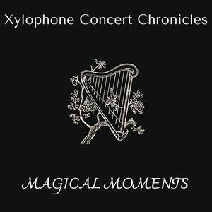 Magical Moments - Xylophone Concert Chronicles