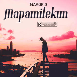 Mapamilekun (feat. Chudybaby)