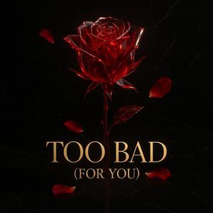 TOO BAD (FOR YOU)
