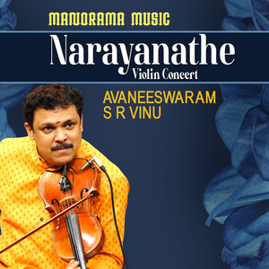 Narayanathe (Carnatic Classical Instrumental)