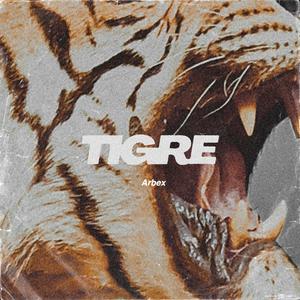 Tigre