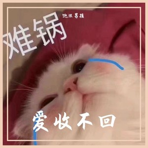 老鼠人卑微的爱