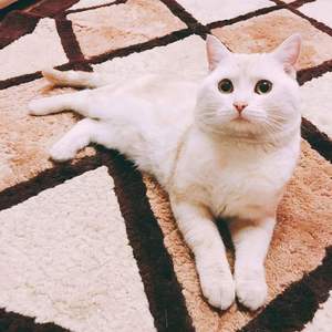 给你的第一首歌