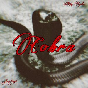 Cobra (feat. Big Gusto) [Explicit]