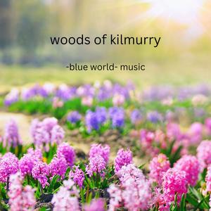 Woods of Kilmurry