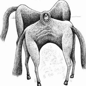 moreproblemsforme (Explicit)