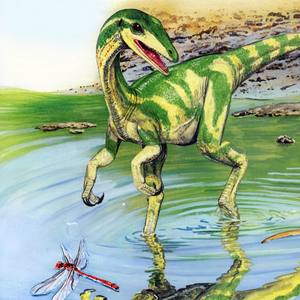 Procompsognathus