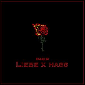 Liebe x Hass (Explicit)