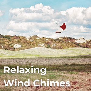 Calm Desert Winds