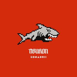 TIBURON (Explicit)