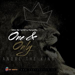 Andre The King - Number Song