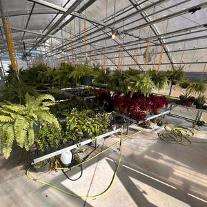 Chick-Fi-La (Explicit)