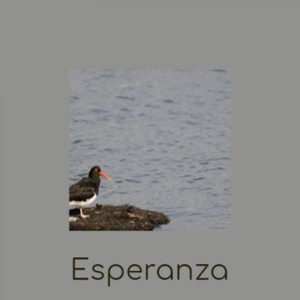 Esperanza