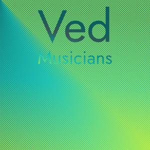Ved Musicians