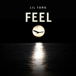 FEEL (feat. prodbystone) (Explicit)