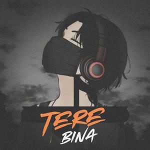Tere Bina