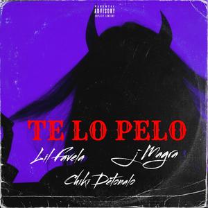 Te Lo Pelo (feat. LIL FAVELA & J MAGRA)