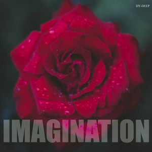 Imagination