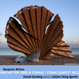 Quartet No. 1 in D, Op. 25 - IV. Molto vivace