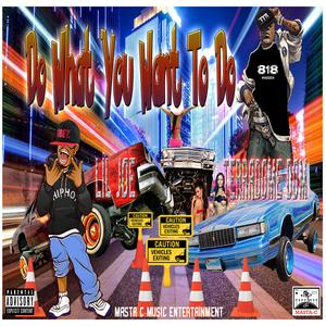 Do What You Want To Do (feat. LiL Joe & Terradome Dom) (Explicit)