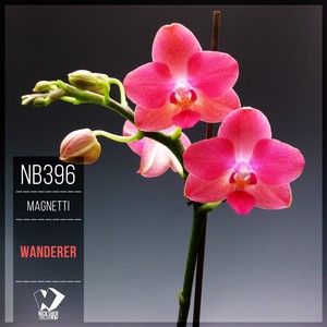 Wanderer (Original Mix)