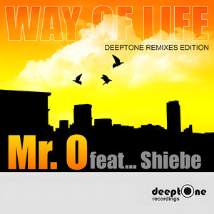 Way Of Life (feat. Sheibe) (Original Mix)
