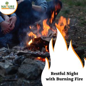 Fantastic Birds Tune