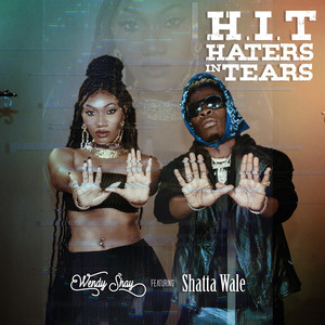 H.I.T(Haters In Tears)