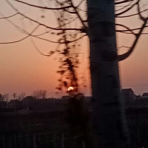 那个蠢妞儿 (Demo)