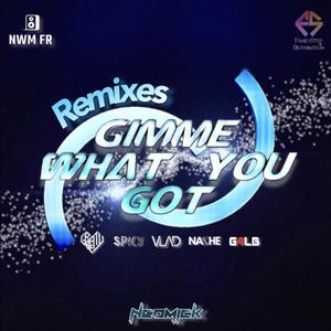 Gimme What You Got (Remixes) [Explicit]