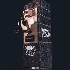 Remission (feat. Royal Flush) [Explicit]