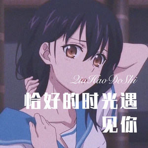 恰好的时光遇见你 (Remix)