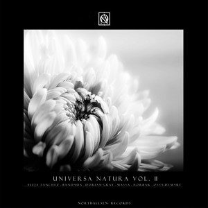 Watershed (Original Mix)