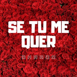 Se Tu Me Quer