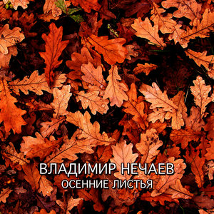 Осенние листья