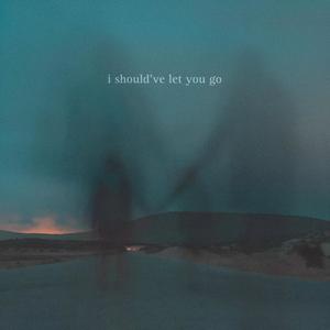 i should've let you go (Explicit)
