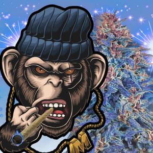 prendelo y pasalo (Explicit)